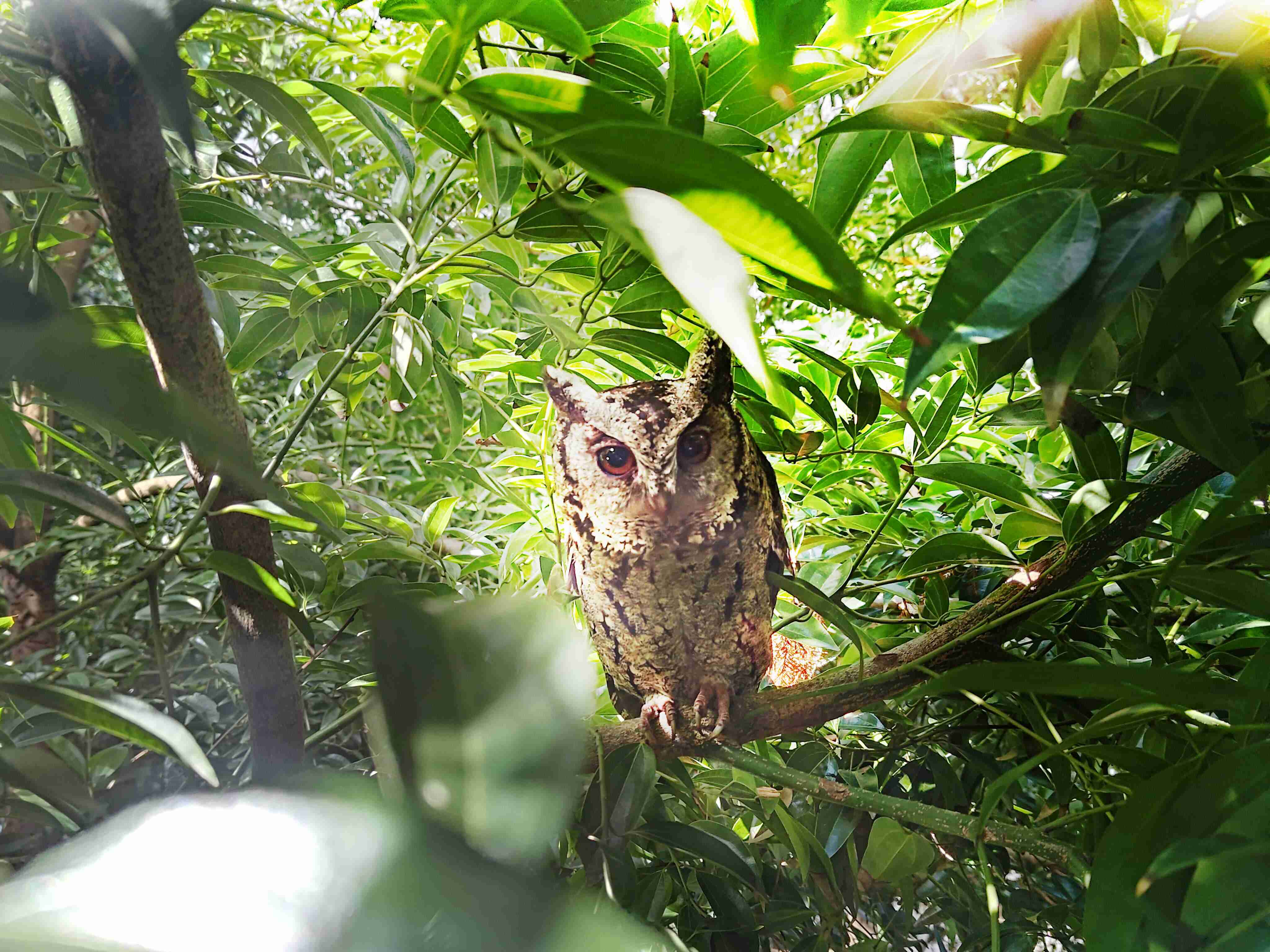 z6mg·人生就是博致力提倡净零绿生活，，，16年以来在全球各厂区植树逾百万棵，，造就各厂区树木蔚然成林，，犹如森林工厂，，成为许多生物的栖息地
